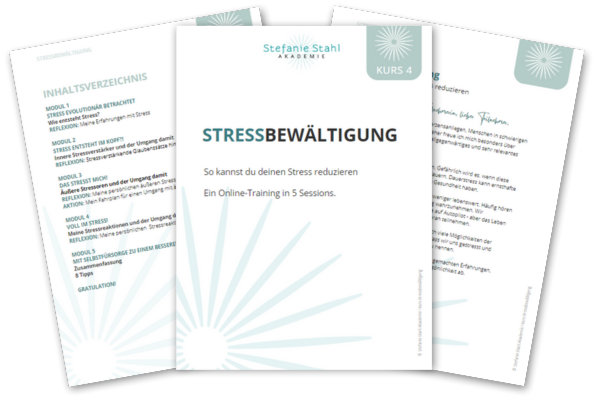 _Mockup Workbook Stress SSA